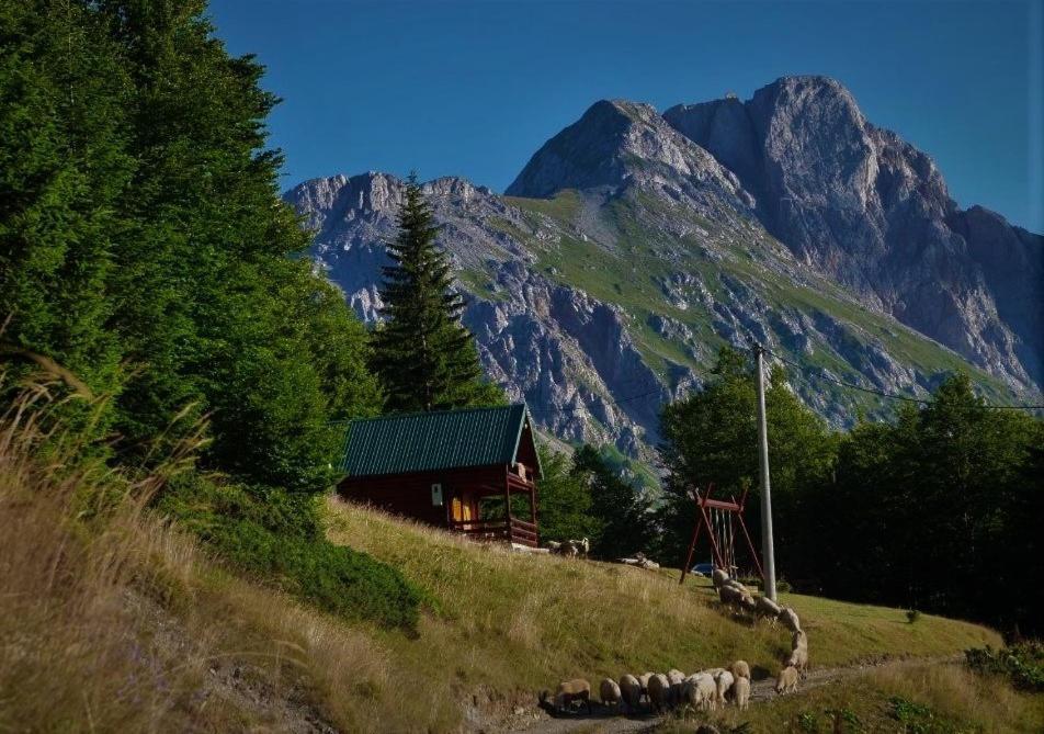 Mountain House Komovi-Radunovic Andrijevica Exterior photo